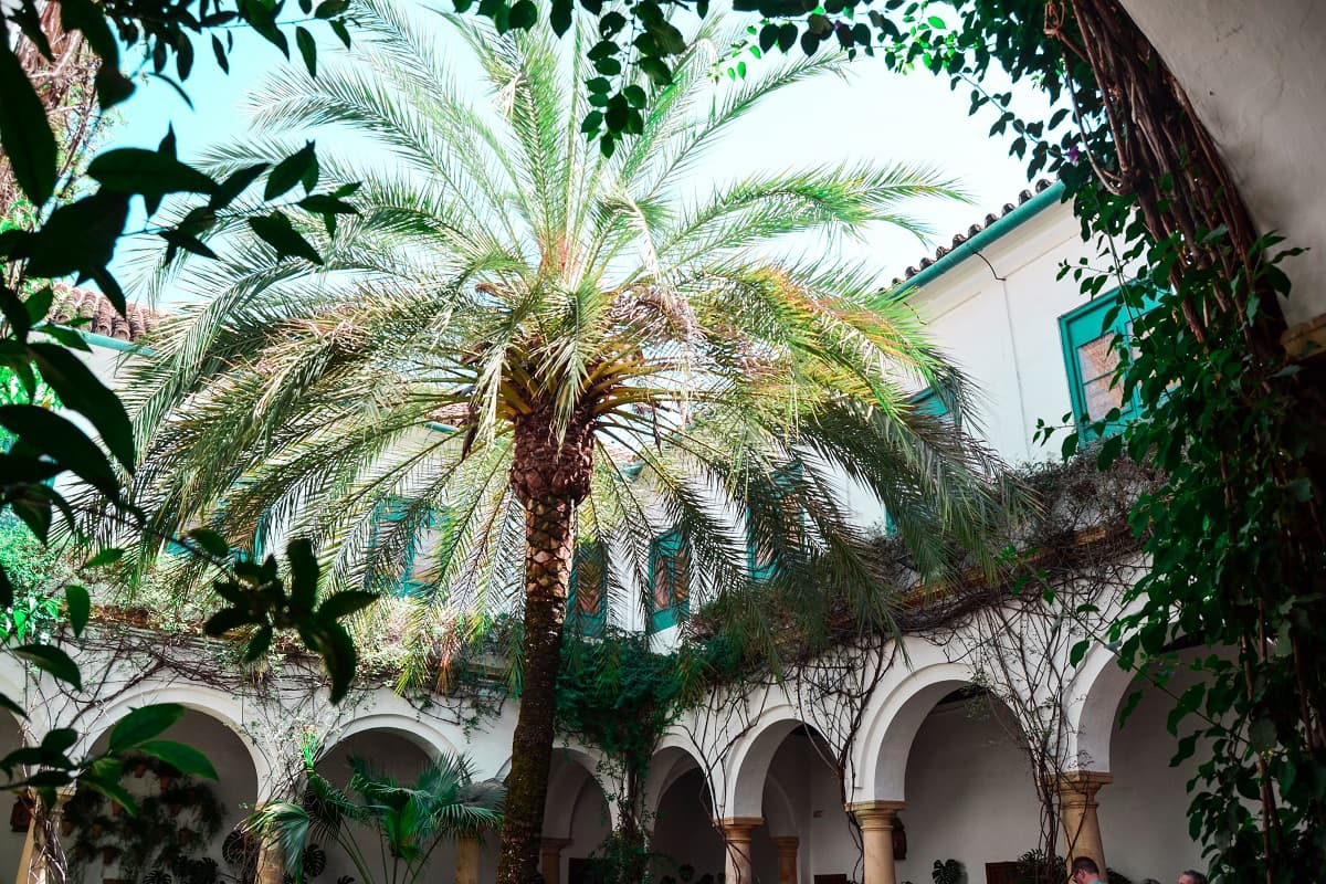 Ruta por el Palacio de Viana y sus patios con guía - Córdoba a pie