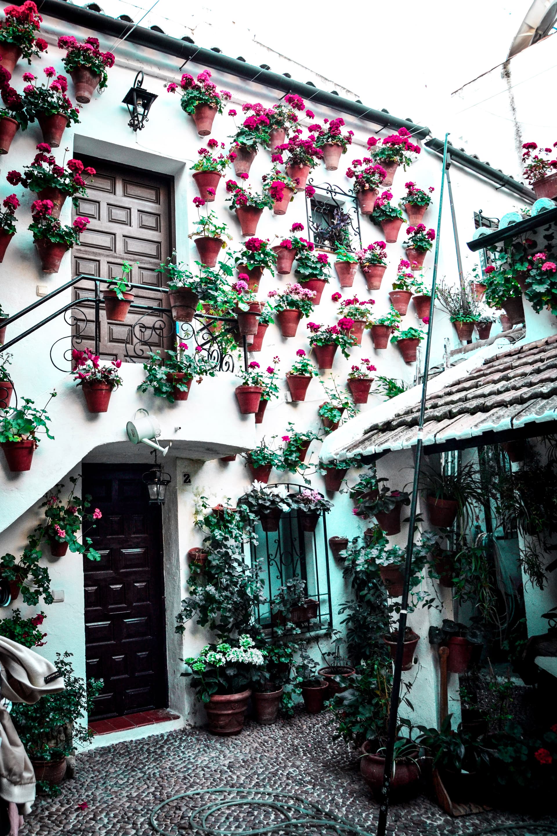 Patios cordobeses