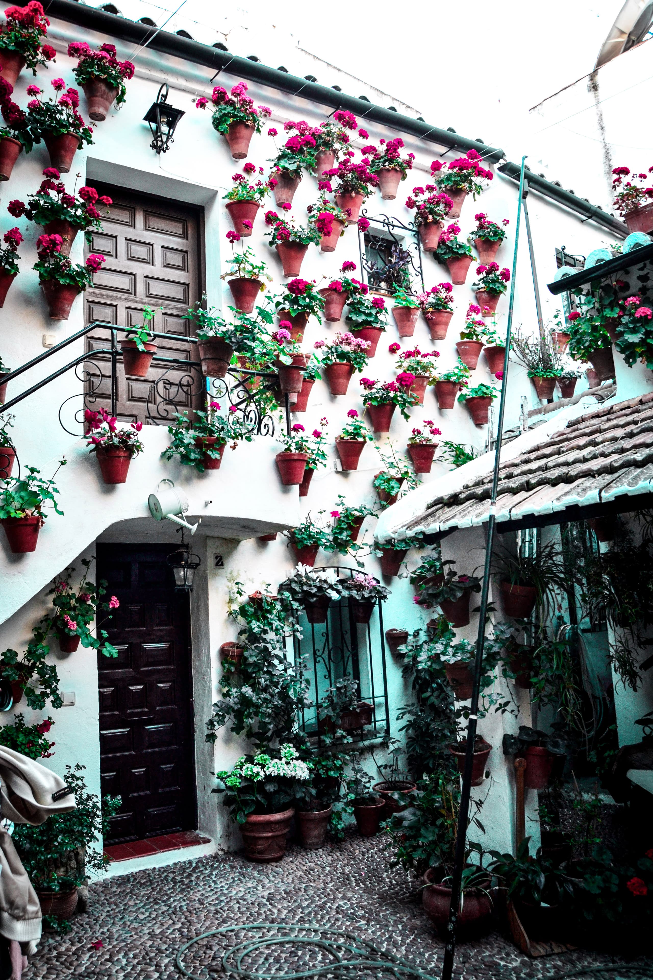 Patios cordobeses