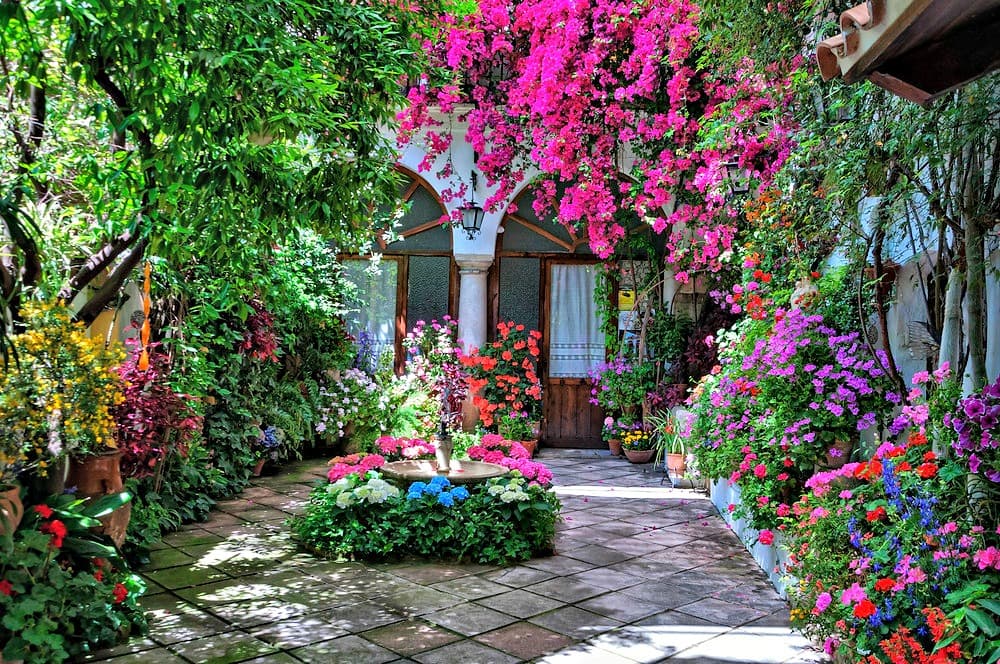 Patios de Córdoba