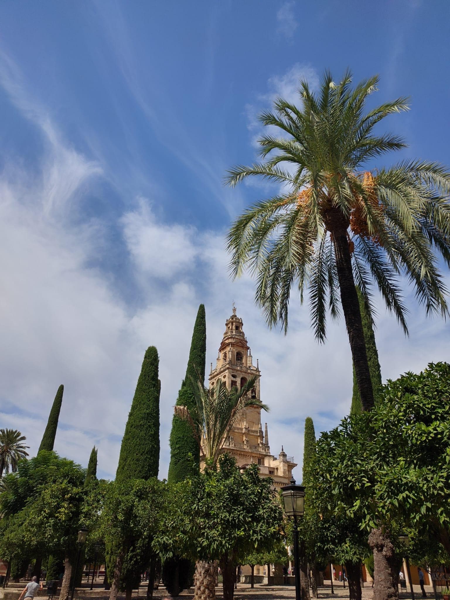 Visita guiada Mezquita y Alcázar