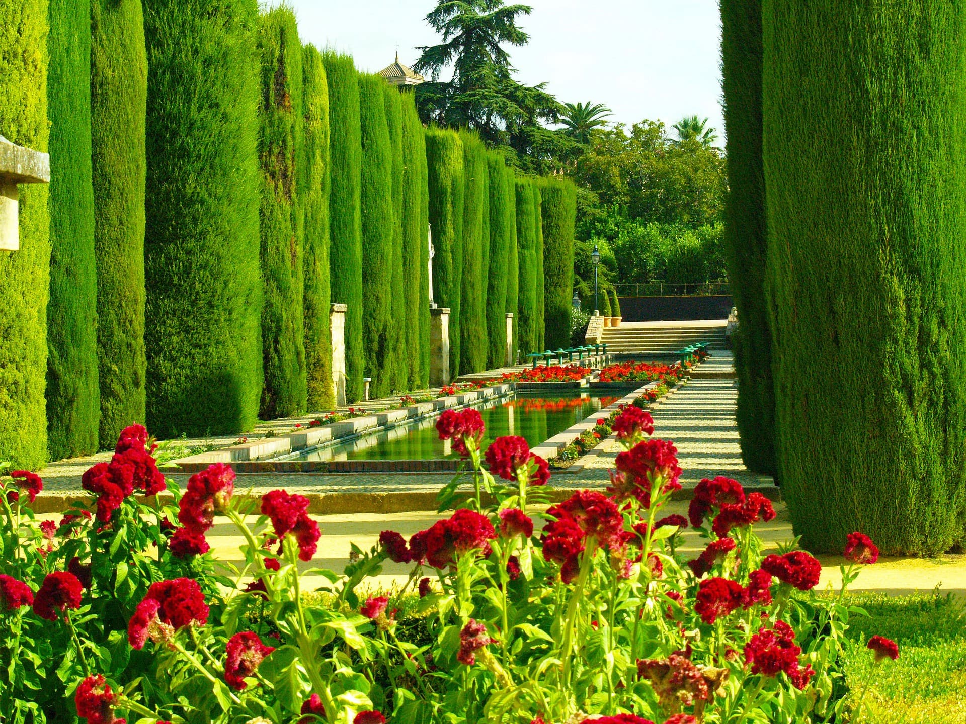 Alcazar Jardines