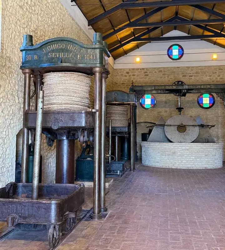 OLEOTURISMO: Visita Guiada Almazara