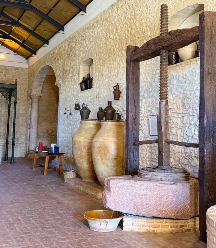 OLEOTURISMO: Guided Tour of the Olive Mill