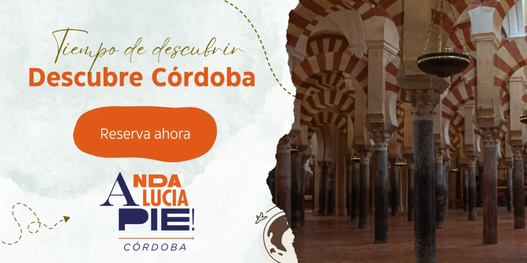 informacion para ver el tour